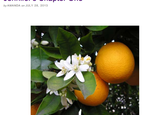 orange blossoms