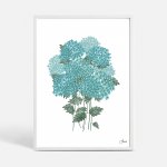 blue-hydrangeas by Jennifer Reid
