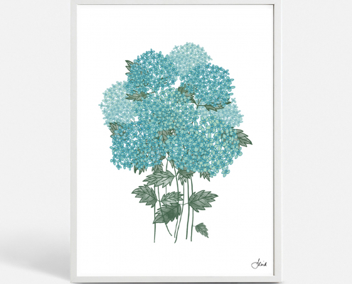 blue-hydrangeas by Jennifer Reid