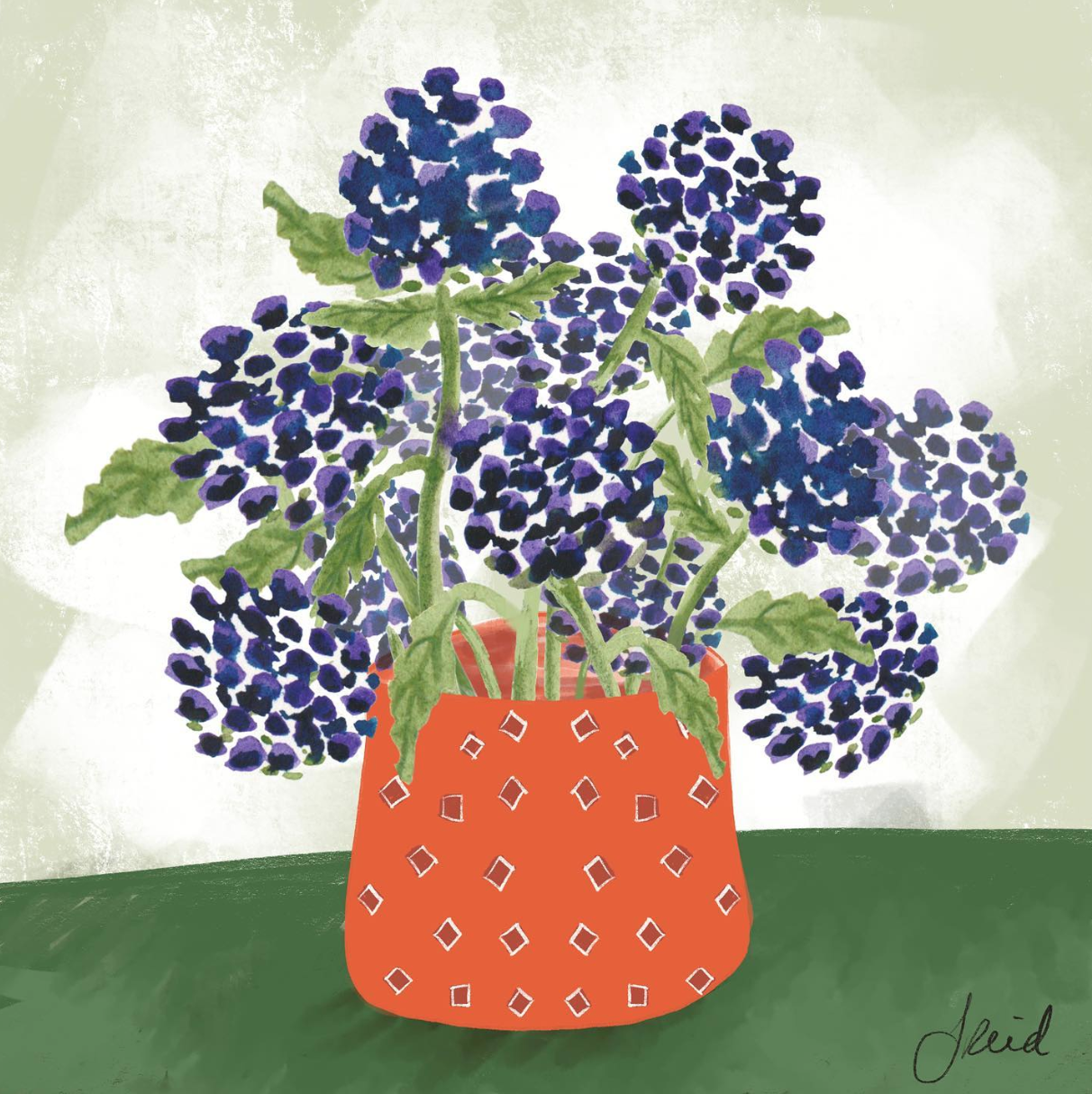 pot of hydrangeas floral botanical art print by Jennifer Reid