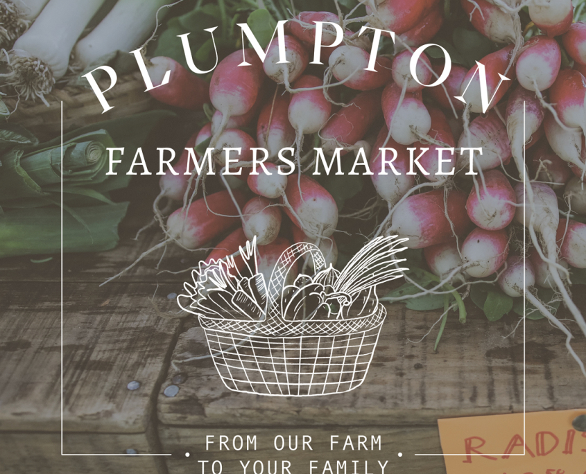plumpton farmers market logo design by Jennifer Reid