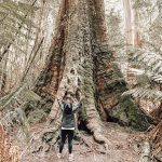 Artist-Jennifer-Reid