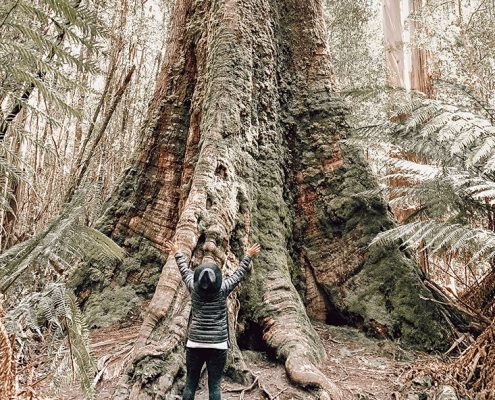 Artist-Jennifer-Reid