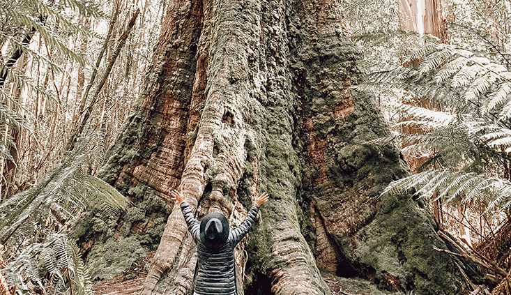 Artist-Jennifer-Reid