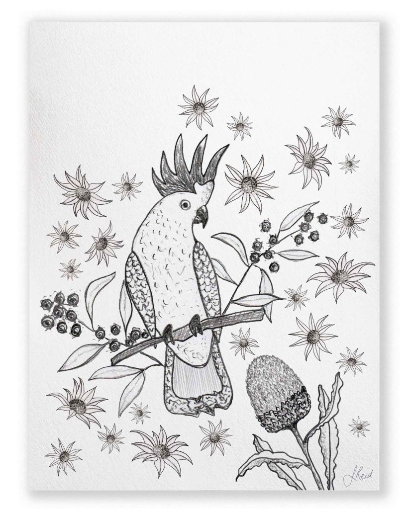 Love-Story-Cockatoo-Fine-Art-Print-by-Jennifer-Reid
