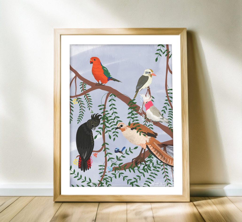 australian birds framed print jennifer reid