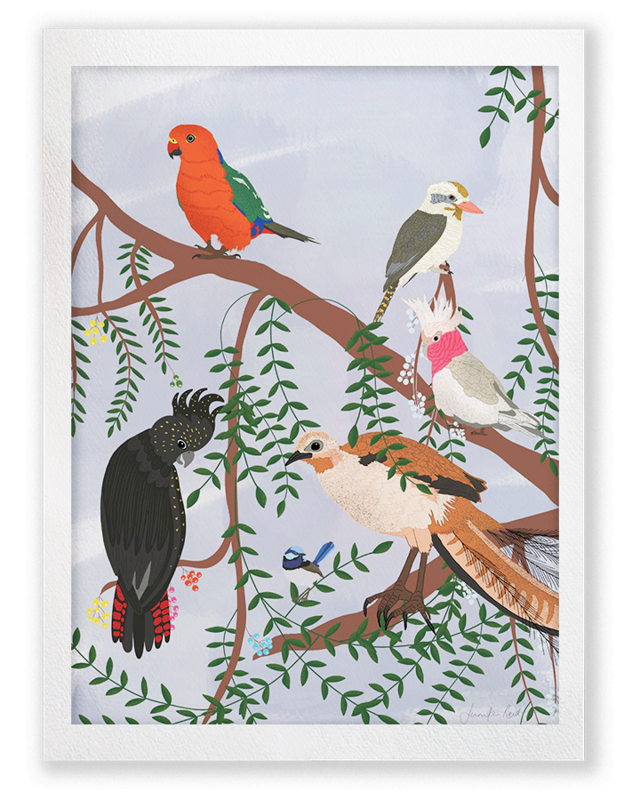 australian-birds-framed-print